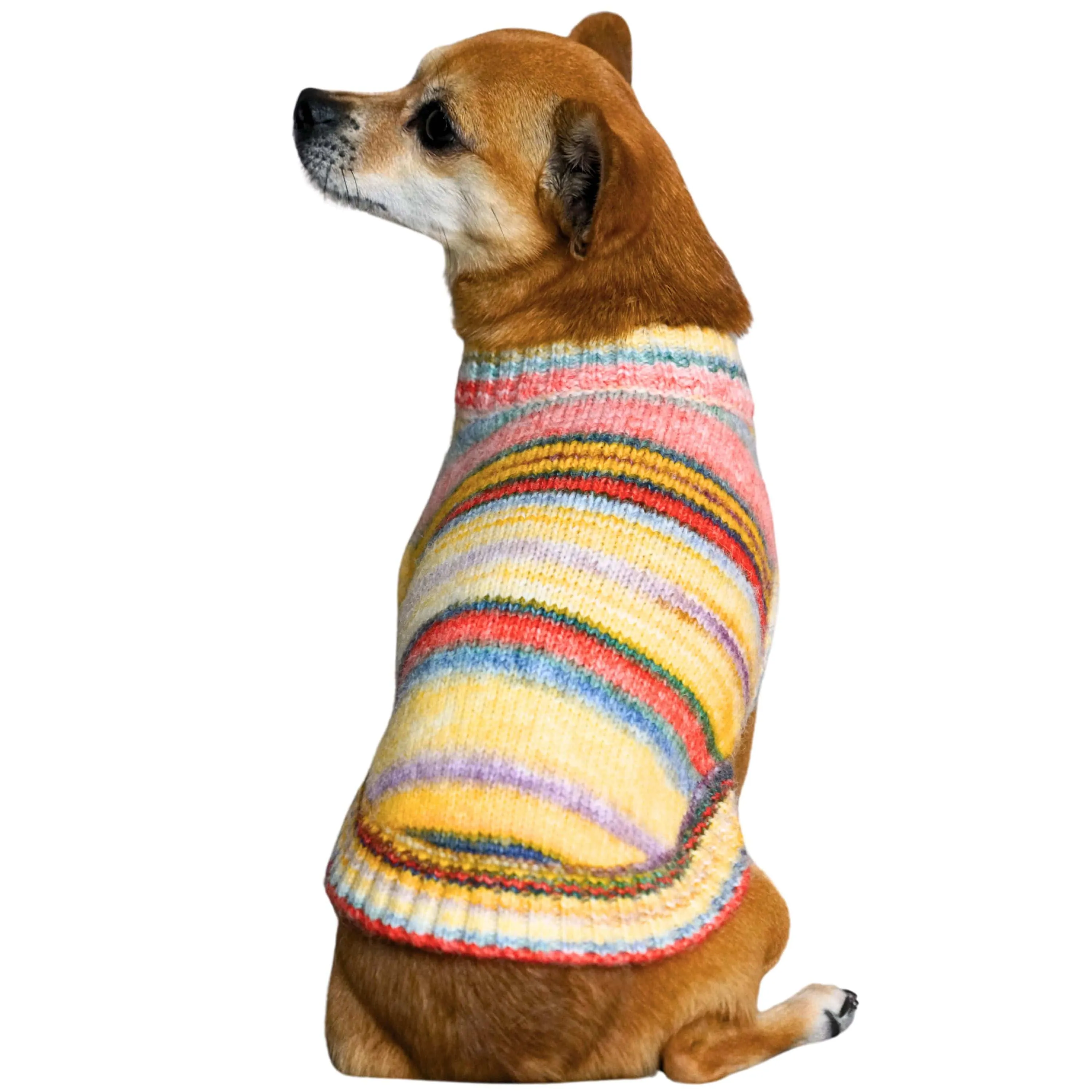 Cozy Soft Gradient Yarn Crew Neck Dog Sweater