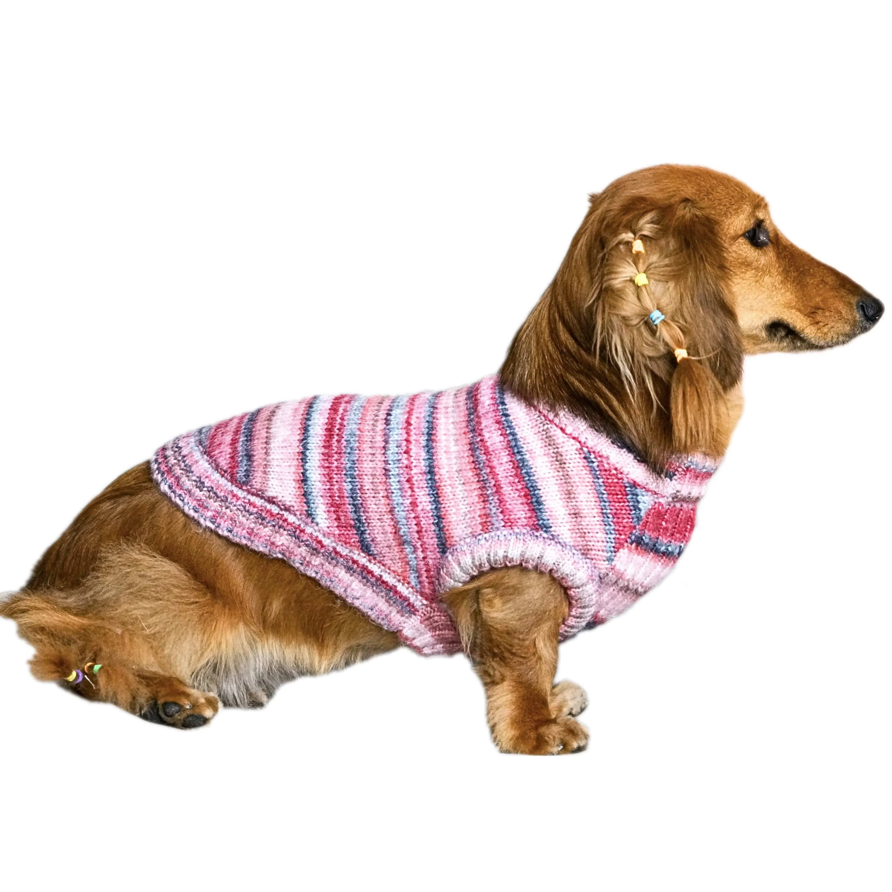 Cozy Soft Gradient Yarn Crew Neck Dog Sweater