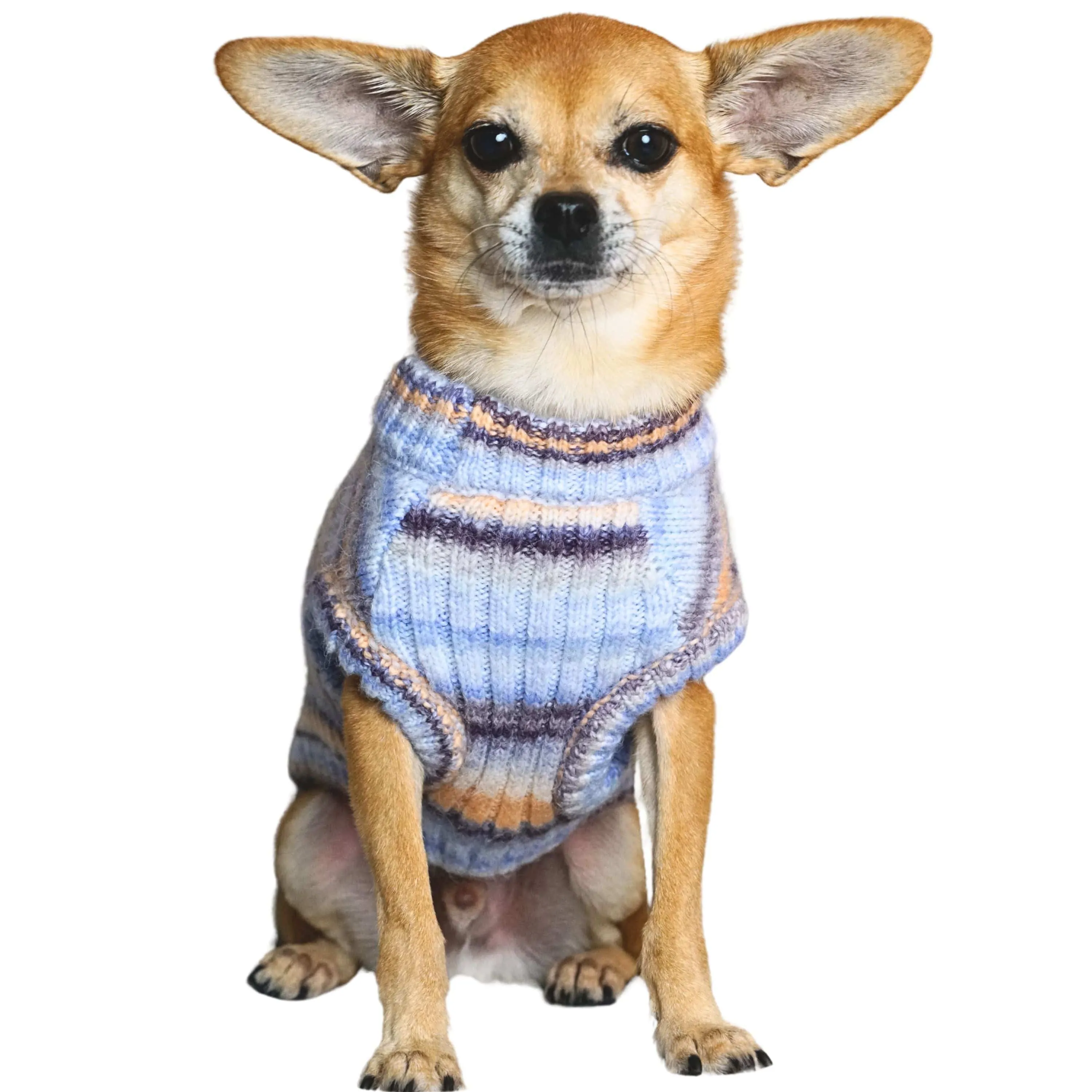 Cozy Soft Gradient Yarn Crew Neck Dog Sweater