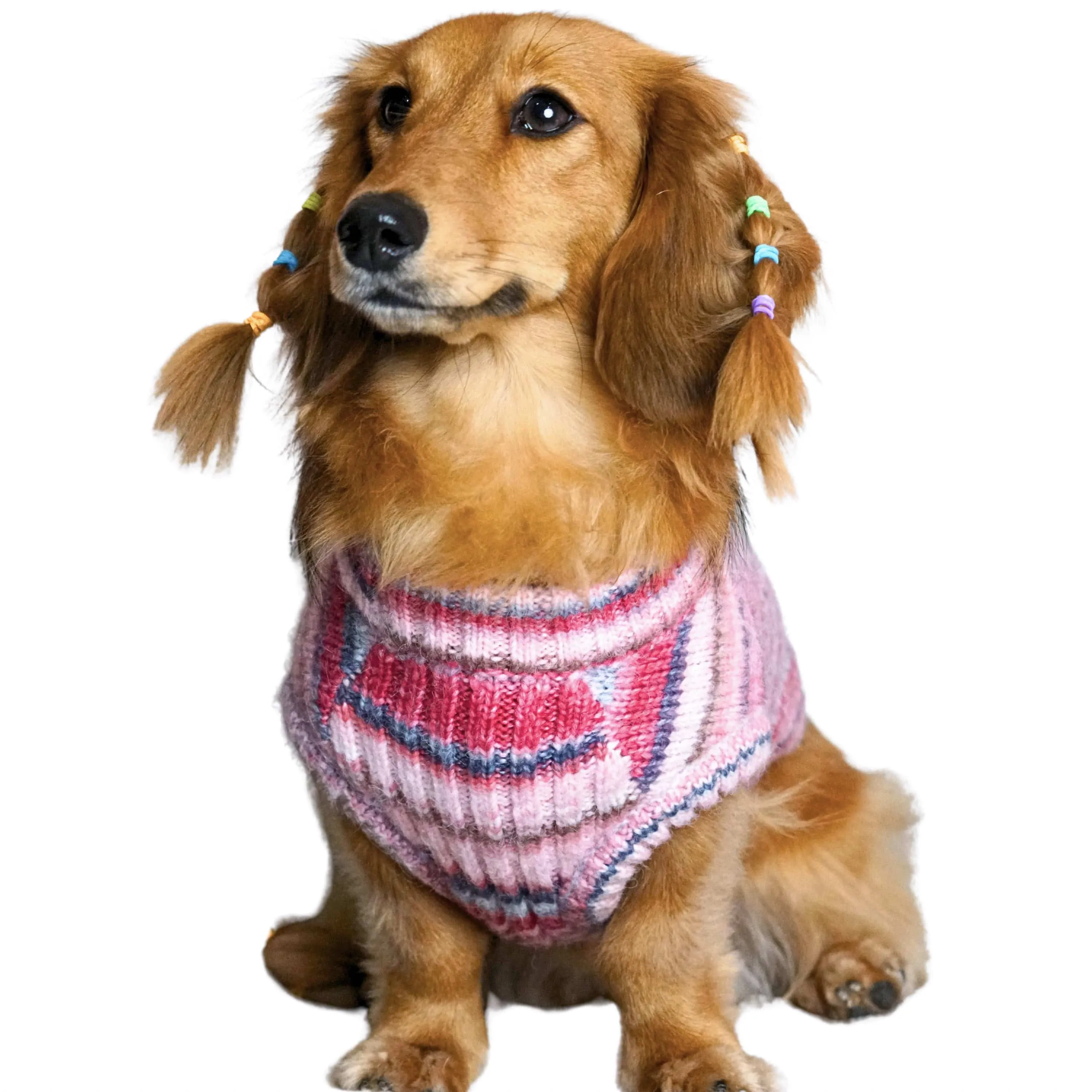 Cozy Soft Gradient Yarn Crew Neck Dog Sweater