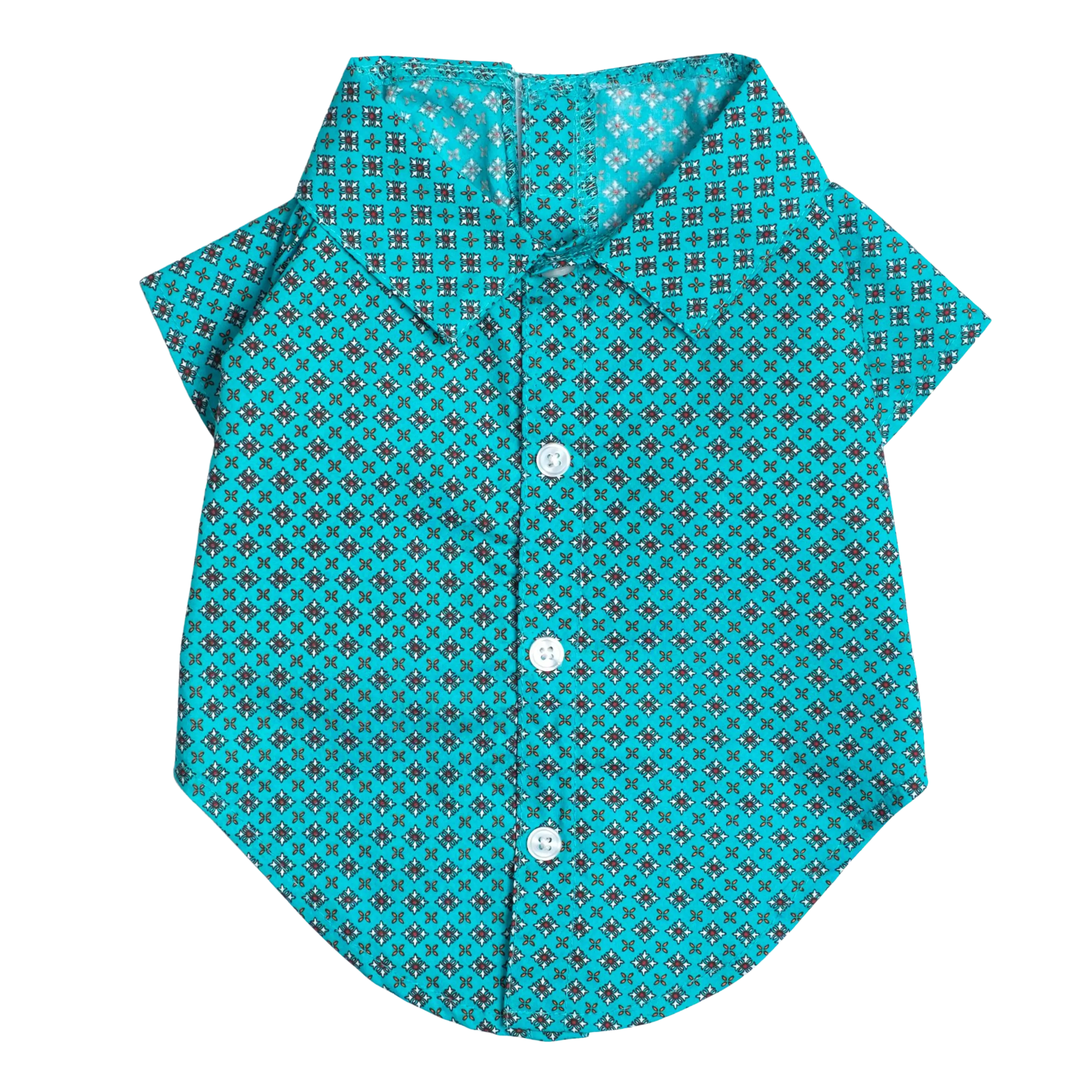 Shirt | Foulard Turquoise